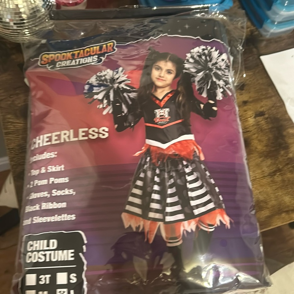 Costume/Halloween costume